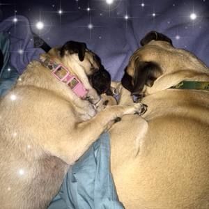 Meet your Posher, Mindy